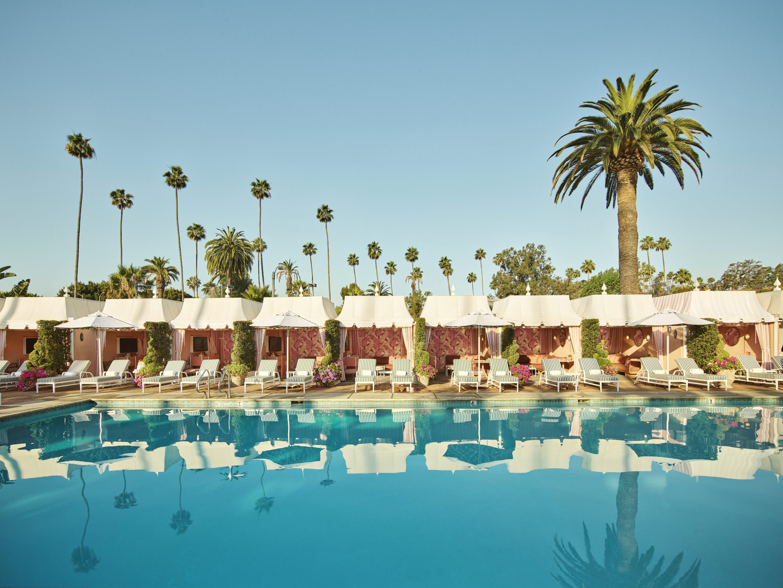 Beverly Hills Hotel  Accidentally Wes Anderson