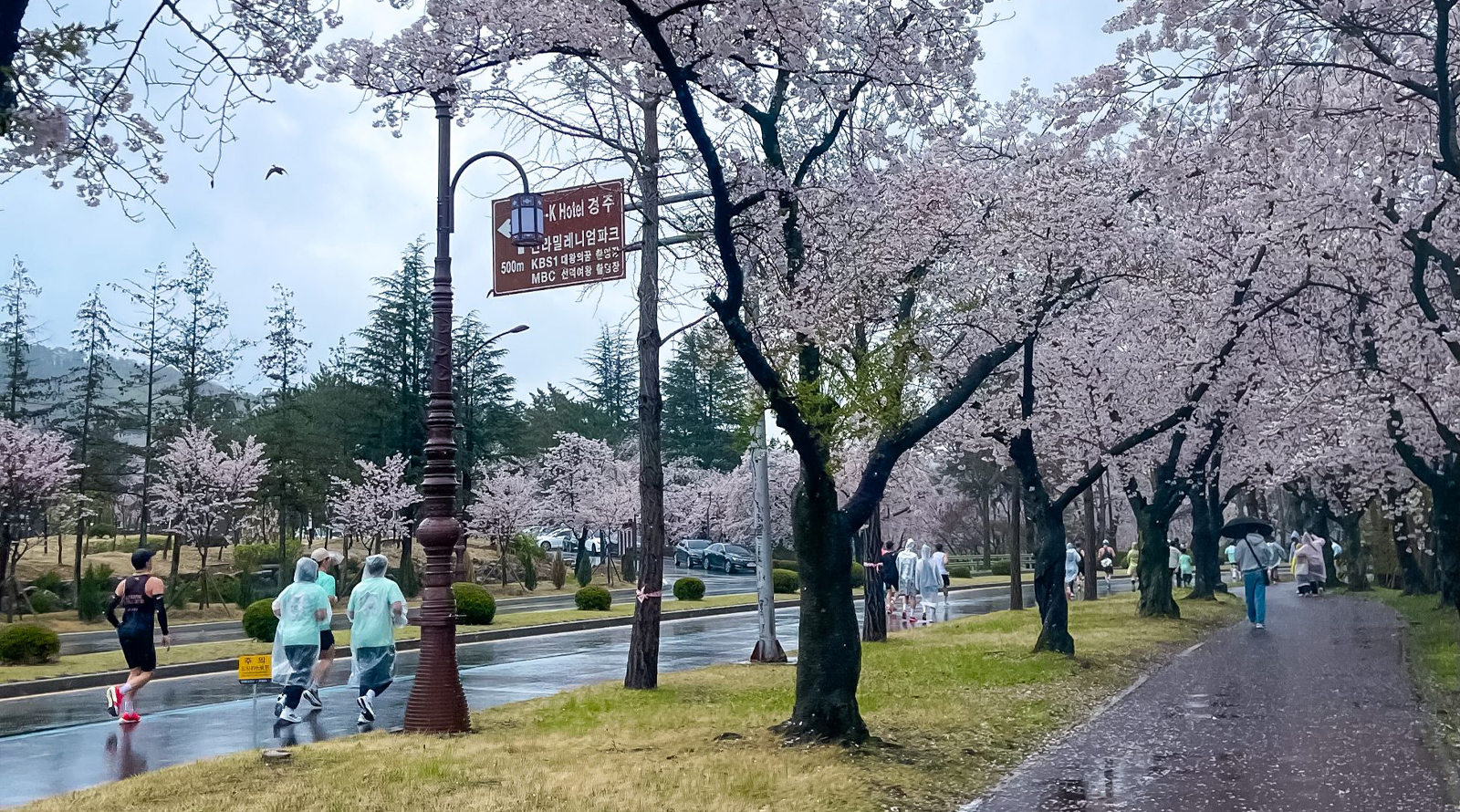 KTC and KTO Highlight Wellness Travel Trend Following Gyeongju Marathon Success, Ahead of Autumn Travel Season