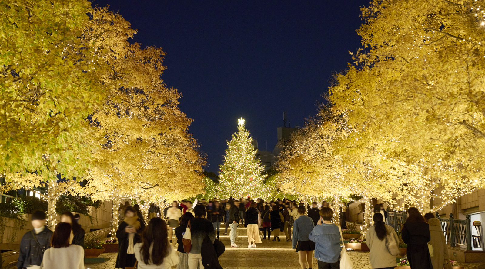 Palace Hotel Tokyo Celebrates the Festive Season with ‘A Tokyo Christmas’